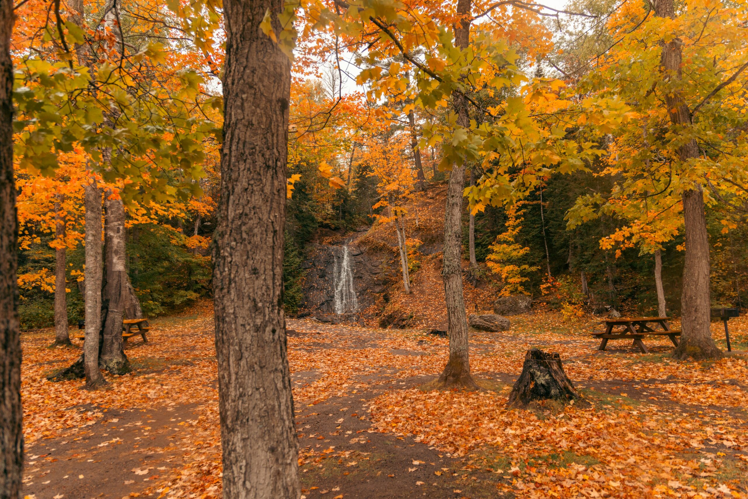 Ways to Make Your House Cozy for Fall Showings